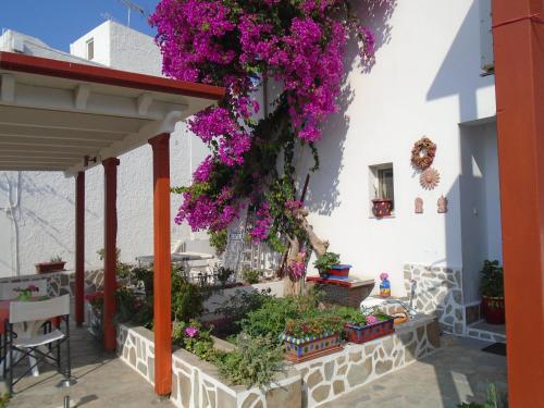 Hotelli välisilme, Helios Serifos in Serifose saar