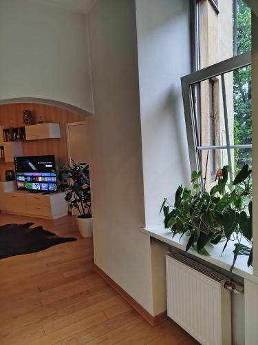 Cozy downtown apartment, Rīga (photo 10)