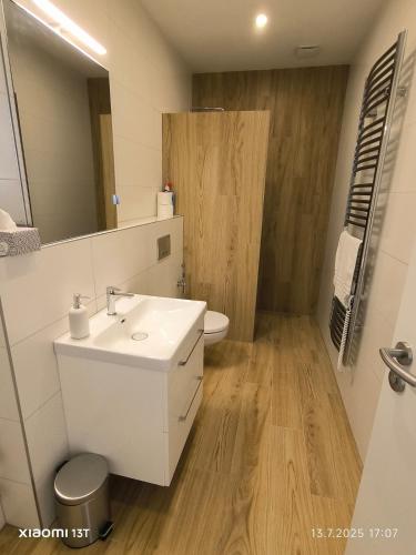 Modern comfort in the heart of the city of Dvůr Králové nad Labem (Modern comfort in the heart of the city of Dvur Kralove nad Labem) in ดวูร์ คราโลเว นัด ลาเบม