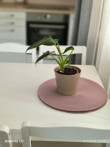 Modern comfort in the heart of the city of Dvůr Králové nad Labem (Modern comfort in the heart of the city of Dvur Kralove nad Labem) in ดวูร์ คราโลเว นัด ลาเบม