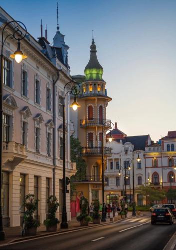 Vistas, Mid Ultra Central, Self Check In, Oradea in Oradea