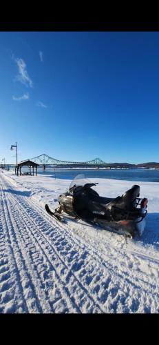 Campbellton Castles in كامب بيلتون