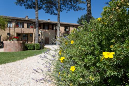 Agriturismo San Galgano