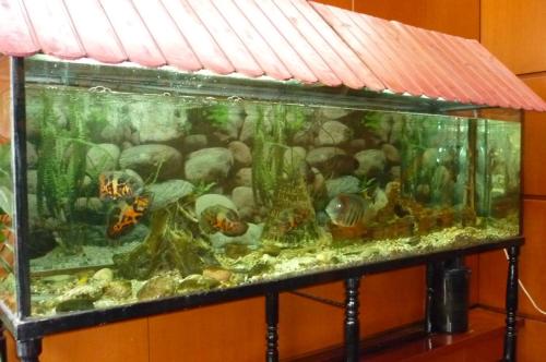 Hotel Francisco Javier - image 12