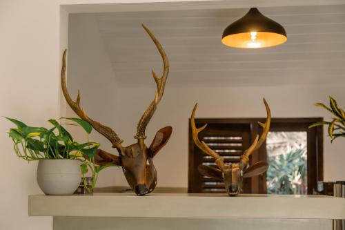 Fransina House - Hiriketiya Haven Garden Properties - image 2
