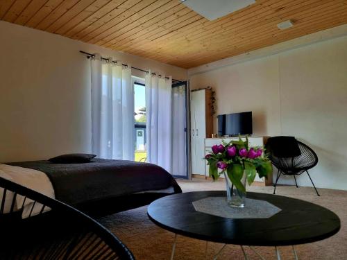 Apartmán pod Hradom (Apartman pod Hradom) in Zborov