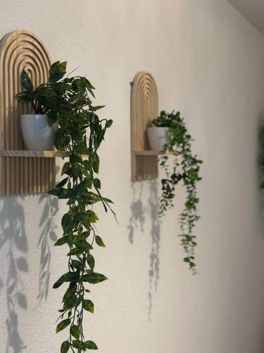 Central Hideaway Garden, Parking, Cinema,4,5rooms, Zürich (photo 8)