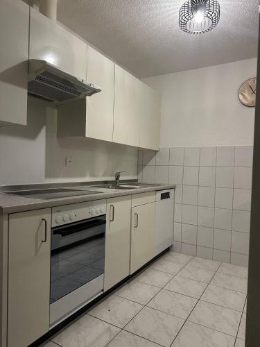 Central Hideaway Garden, Parking, Cinema,4,5rooms, Zürich (photo 10)