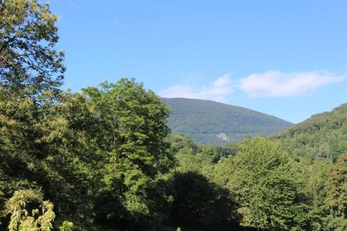 Du Coté de Lacoume