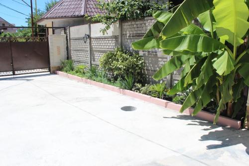 Guest House Lilia - image 7