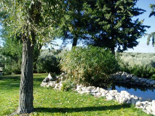 Alojamiento San Juan Bautista - image 6