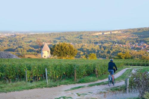 Première Classe Beaune - image 3