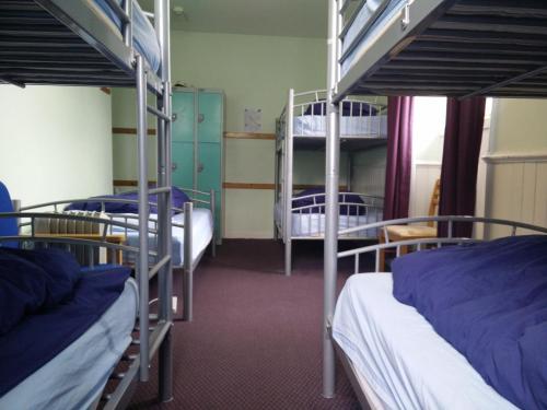 Bunk Bed in Mixed Dormitory Room