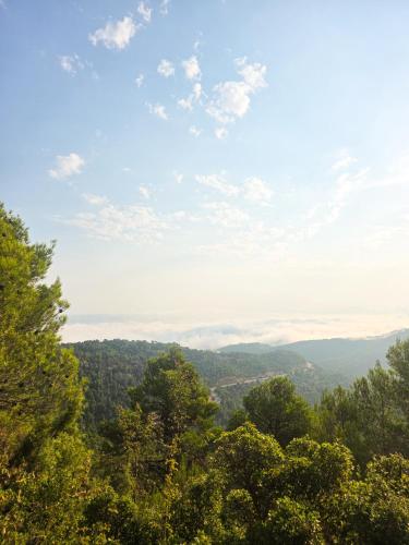 Tuvākā izklaides vieta, La PenAlta - Allotjament enoturístic - Vilanova de Prades (La PenAlta - Allotjament enoturistic - Vilanova de Prades) in Vilanova De Prades