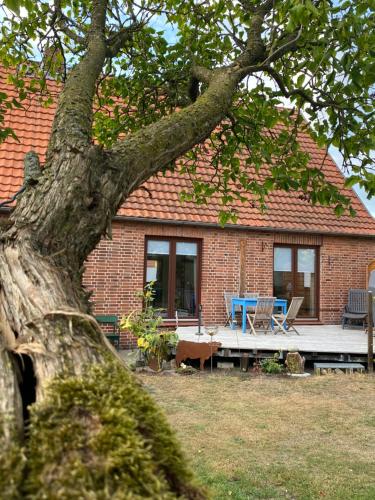 المنظر الخارجي, Ferienhaus in Stöckse (Ferienhaus in Stockse) in Steimbke