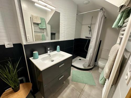 Zuhanyzó, Studio Cosy en vallée d'Ossau (Studio Cosy en vallee d'Ossau) in Bielle