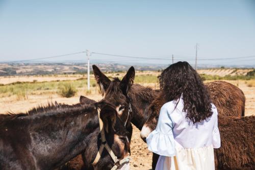 Hotel Rural Sra De Pereiras - image 12