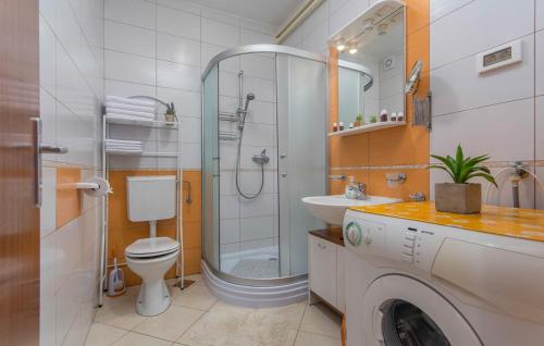 دش, Damir in Dajla