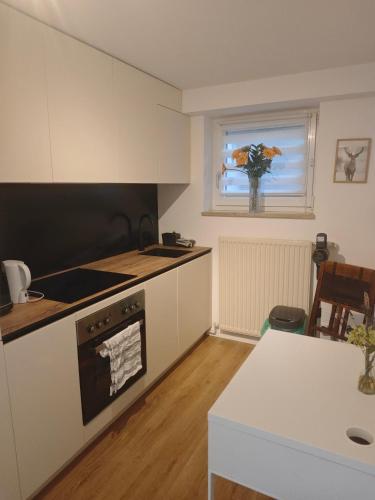 Ruhige FeWo Soutterainwohnung im Grünen, Hamburg (photo 7)