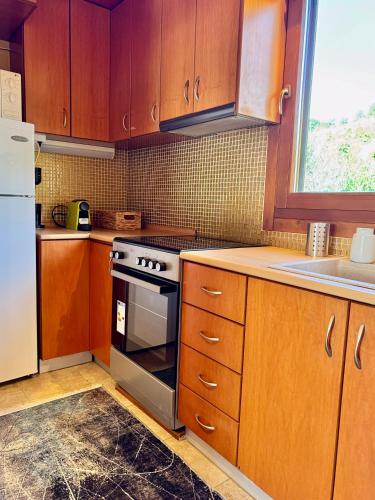 廚房, Green Forest Villa in 阿吉奧斯帕夫洛斯那奧薩