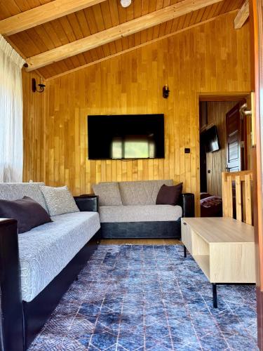 設施, Green Forest Villa in 阿吉奧斯帕夫洛斯那奧薩