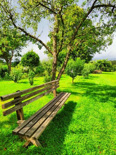 Agroturystyka "Dobre czasy"