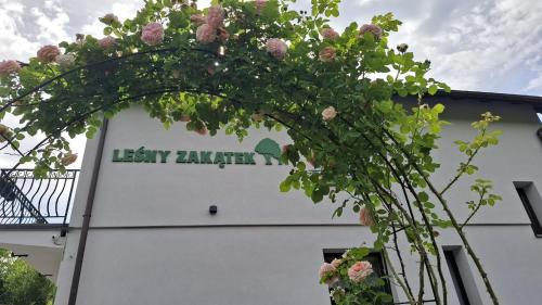 Lesny Zakatek - Wisla