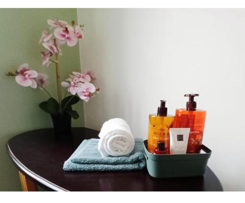 De Tussenstop in Villefranche-sur-Saone