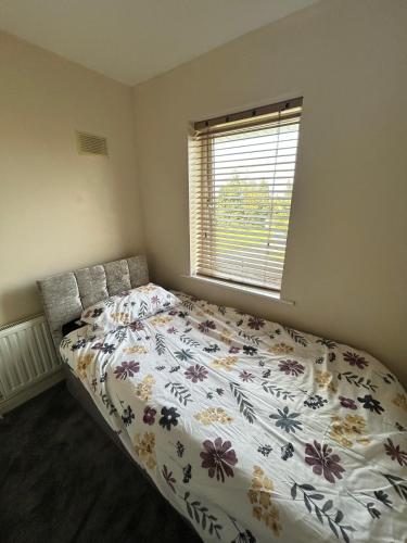 The Lake in Portlaoise