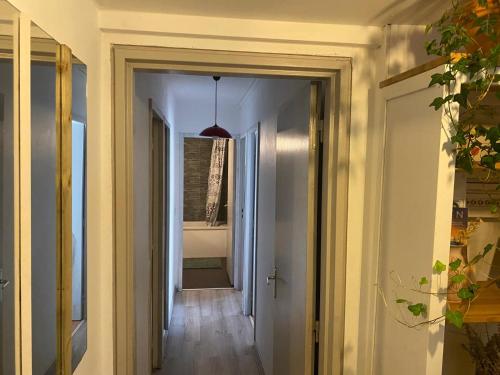 Appartement les Terrasses in Talence