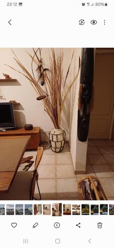 Marina's House – La Spezia, PA