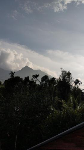 Eve's Residency in Meppadi