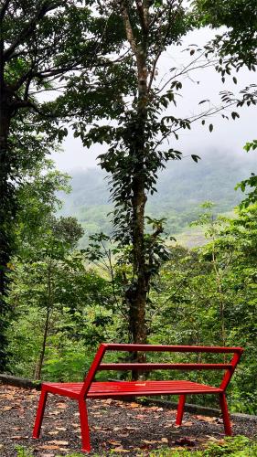 Mamalakandam Rock Cave at Diya Homestay in Inchathotty
