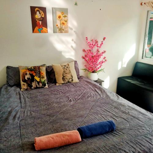 Mateoasis in Tapao Öböl