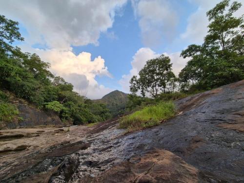 Mamalakandam Green Hill Stay in Diya Homesay in Inchathotty