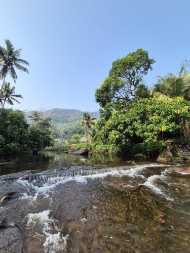 Mamalakandam Green Hill Stay in Diya Homesay in Inchathotty