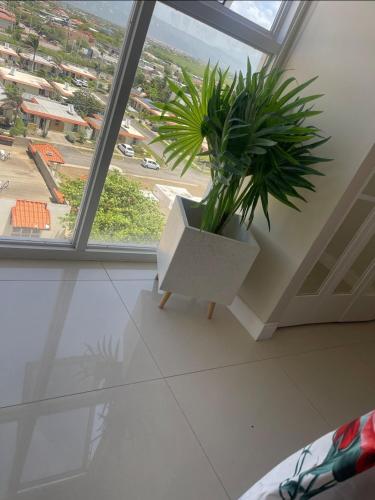 Spacious two bedrooms with sea and city view in Portmore