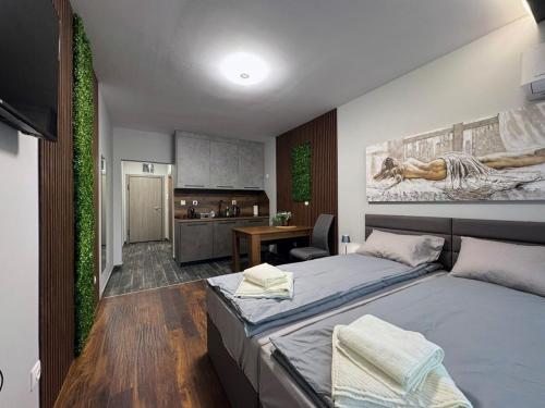 Dream Home A3, Sofia (photo 8)