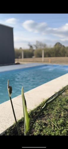 Las Magnolias CABAÑAS (Las Magnolias CABANAS) in เจเนอรัลอัลบาราโด