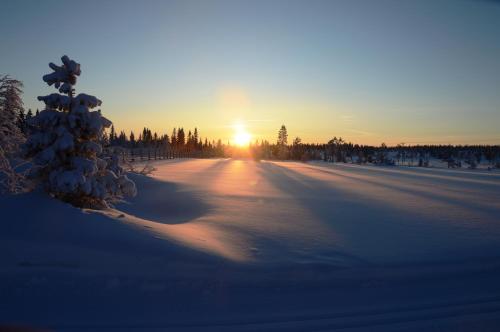 Pandangan, 16 - Fulufjellets nasjonalparker - snø - alpint - langrenn - snøscooter in Trysil