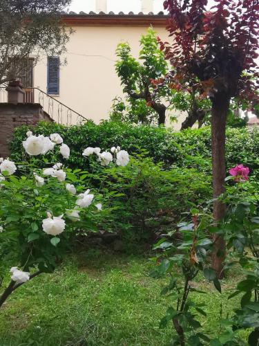 Appartamento Il Giardinetto in Camucia