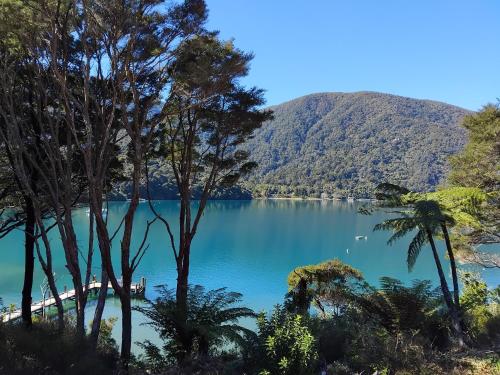 Haven Cabin - No road access - just a boat ride away in Endeavorinleta