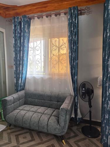 Δωμάτιο, Mosh apartments in Γουακισο