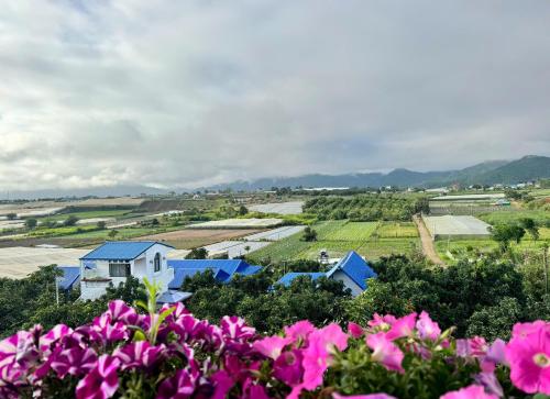 Điểm cộng đồng du lịch nông nghiệp nông thôn Avocado Farm – khách sạn tại Trạm Hành