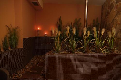Hotel Theresia - image 2