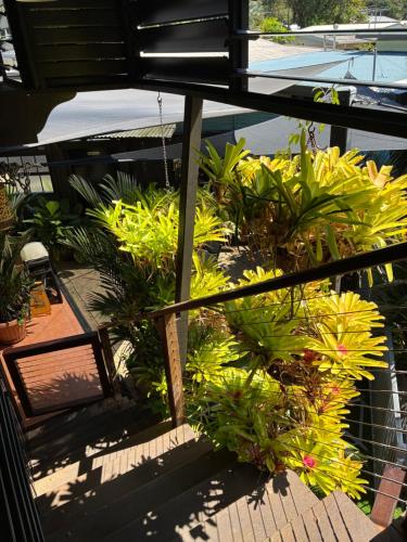 Queenslander leafy Whitfield in Greater Cairns