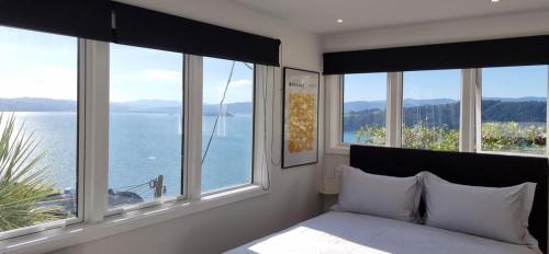 Modern Studio with Stunning Harbour Views in Oriental Parade