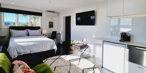 Modern Studio with Stunning Harbour Views in Oriental Parade