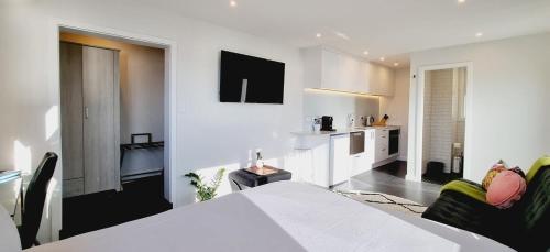 Modern Studio with Stunning Harbour Views in Oriental Parade