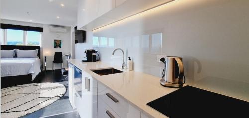 Modern Studio with Stunning Harbour Views in Oriental Parade